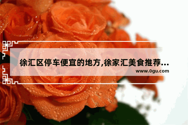 徐汇区停车便宜的地方,徐家汇美食推荐便宜点的餐厅