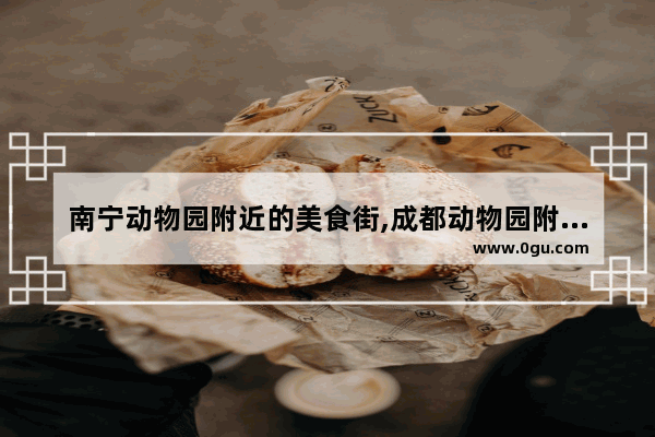 南宁动物园附近的美食街,成都动物园附近美食推荐店铺有哪些地方呢