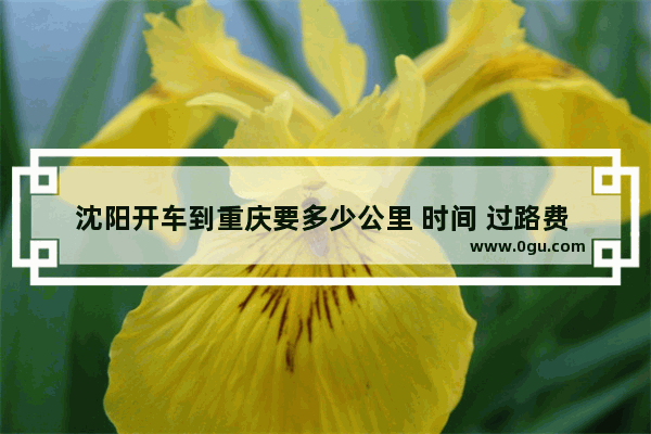 沈阳开车到重庆要多少公里 时间 过路费 油钱 沈阳美食推荐重庆火锅底料店