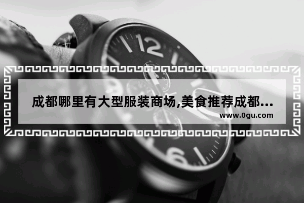 成都哪里有大型服装商场,美食推荐成都店有哪些品牌的衣服店