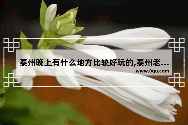 泰州晚上有什么地方比较好玩的,泰州老街美食推荐
