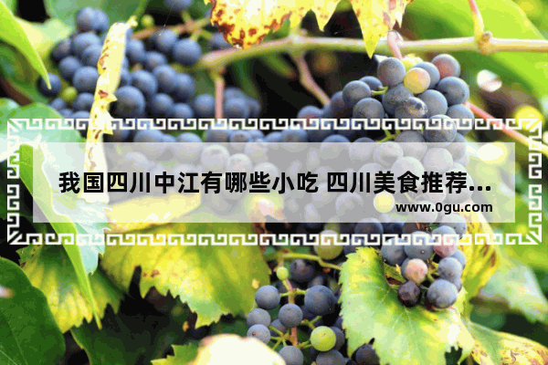 我国四川中江有哪些小吃 四川美食推荐卡制作方法大全