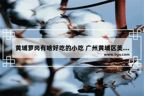 黄埔萝岗有啥好吃的小吃 广州黄埔区美食推荐地方有哪些餐厅