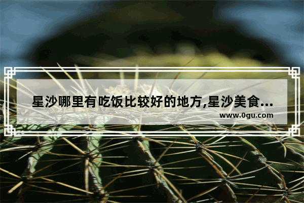 星沙哪里有吃饭比较好的地方,星沙美食推荐店铺排名前十有哪些