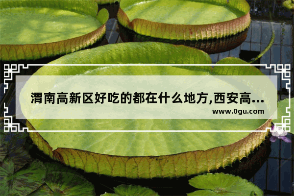 渭南高新区好吃的都在什么地方,西安高新特色美食推荐餐厅