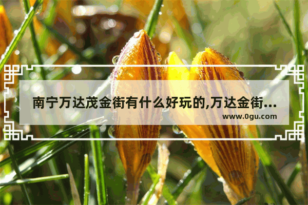 南宁万达茂金街有什么好玩的,万达金街美食推荐一下