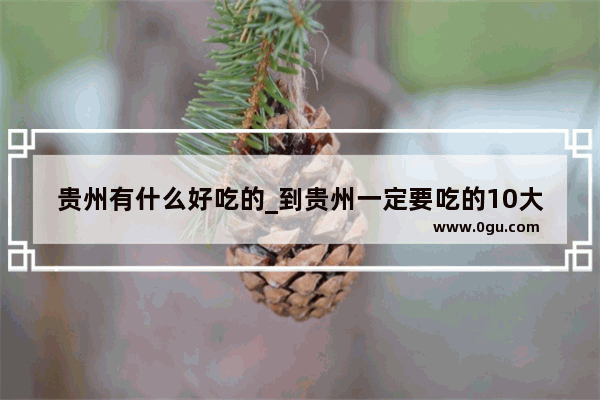 贵州有什么好吃的_到贵州一定要吃的10大美食