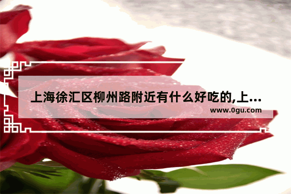 上海徐汇区柳州路附近有什么好吃的,上海徐家汇附近美食推荐店有哪些地方