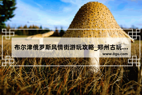 布尔津俄罗斯风情街游玩攻略_郑州古玩城附近有积水吗