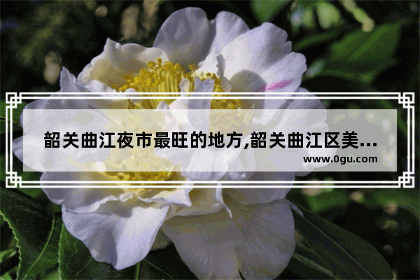韶关曲江夜市最旺的地方,韶关曲江区美食推荐餐厅有哪些店子好
