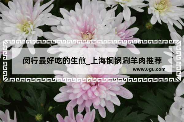 闵行最好吃的生煎_上海铜锅涮羊肉推荐