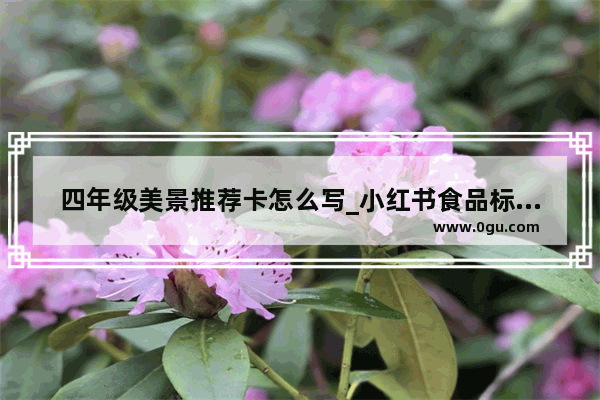四年级美景推荐卡怎么写_小红书食品标题怎么吸引人