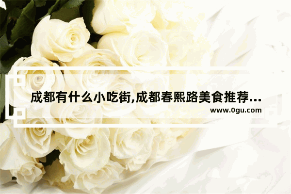 成都有什么小吃街,成都春熙路美食推荐苍蝇馆在几楼卖