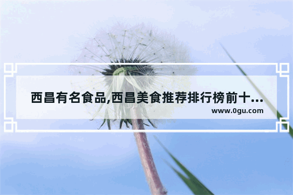西昌有名食品,西昌美食推荐排行榜前十名店有哪些店铺呢