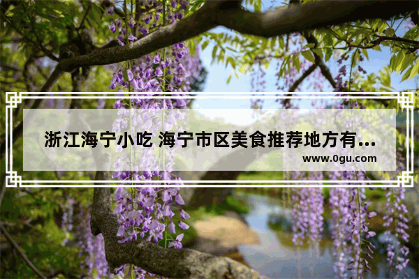 浙江海宁小吃 海宁市区美食推荐地方有哪些餐厅