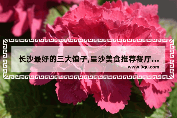 长沙最好的三大馆子,星沙美食推荐餐厅排名第一的有哪些店