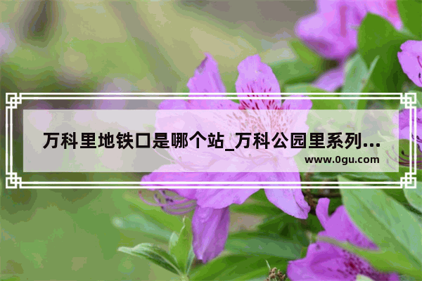 万科里地铁口是哪个站_万科公园里系列楼盘档次