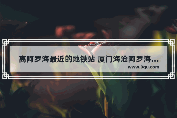离阿罗海最近的地铁站 厦门海沧阿罗海美食推荐哪家好吃点的饭店