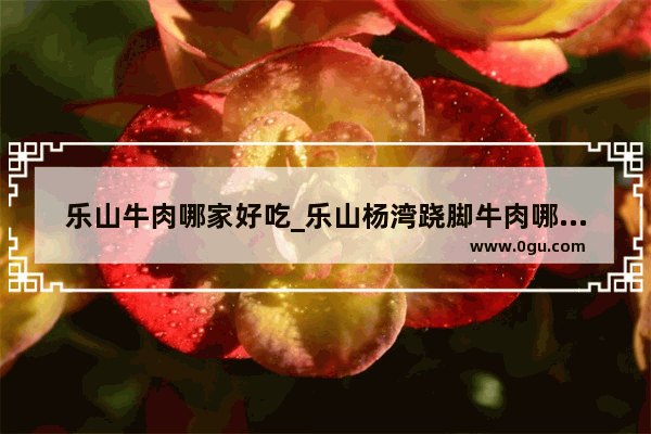 乐山牛肉哪家好吃_乐山杨湾跷脚牛肉哪家好吃