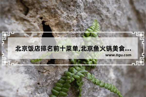 北京饭店排名前十菜单,北京鱼火锅美食推荐店