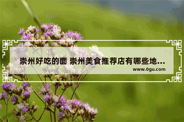 崇州好吃的面 崇州美食推荐店有哪些地方好