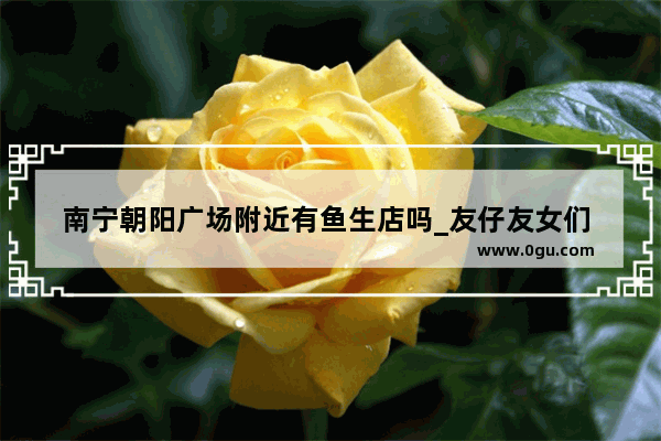南宁朝阳广场附近有鱼生店吗_友仔友女们 南宁中尧西路附近有啥好吃的呀学生多不多啊？嘿嘿