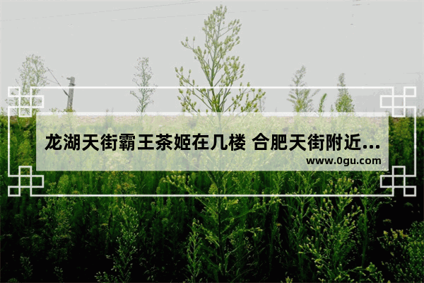 龙湖天街霸王茶姬在几楼 合肥天街附近美食推荐店铺有哪些