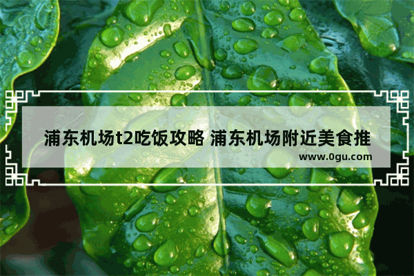 浦东机场t2吃饭攻略 浦东机场附近美食推荐餐厅有哪些