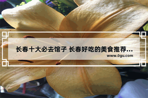 长春十大必去馆子 长春好吃的美食推荐餐厅在哪个位置啊