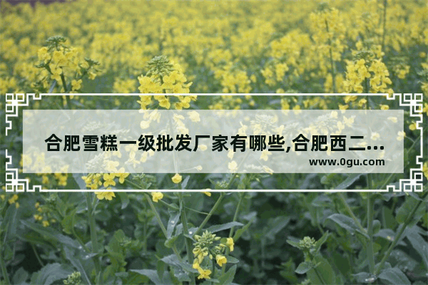 合肥雪糕一级批发厂家有哪些,合肥西二环附近美食推荐餐厅在哪个位置