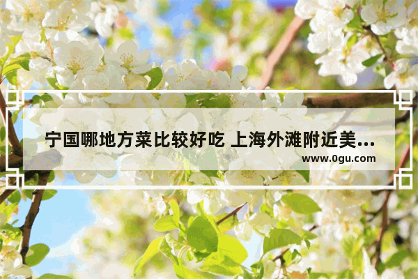宁国哪地方菜比较好吃 上海外滩附近美食推荐平价店有哪些地方好吃的