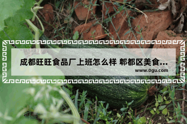 成都旺旺食品厂上班怎么样 郫都区美食推荐晚餐店在哪里开的