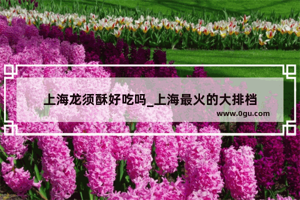 上海龙须酥好吃吗_上海最火的大排档