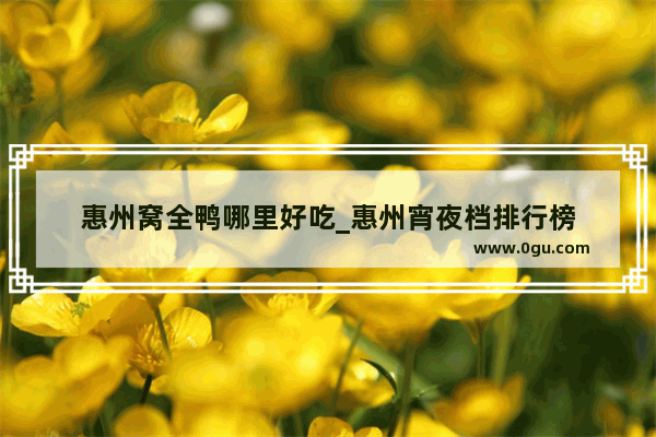 惠州窝全鸭哪里好吃_惠州宵夜档排行榜