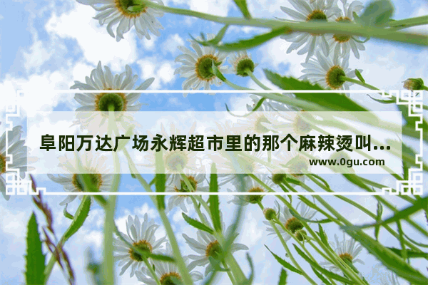 阜阳万达广场永辉超市里的那个麻辣烫叫什么 阜阳万达附近小吃美食推荐店有哪些地方呢多少钱
