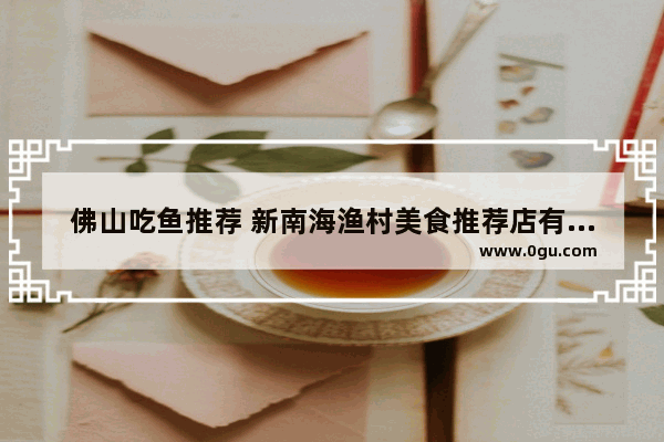 佛山吃鱼推荐 新南海渔村美食推荐店有哪些地方可以吃