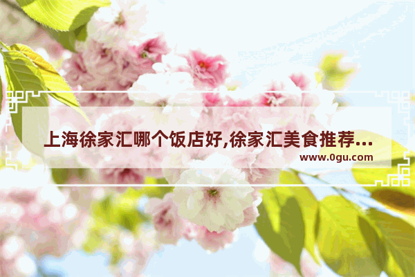 上海徐家汇哪个饭店好,徐家汇美食推荐便宜的餐厅在哪个位置好