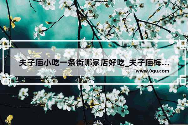 夫子庙小吃一条街哪家店好吃_夫子庙梅花糕哪家好吃