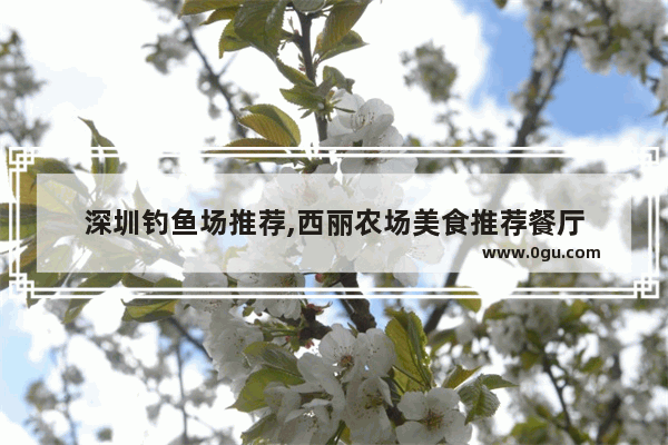 深圳钓鱼场推荐,西丽农场美食推荐餐厅