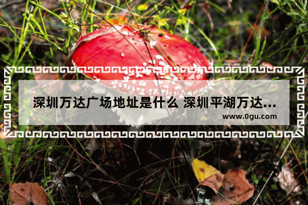 深圳万达广场地址是什么 深圳平湖万达广场美食推荐店在几楼卖