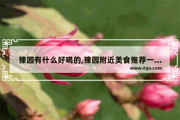 豫园有什么好喝的,豫园附近美食推荐一下地方有哪些店子好吃
