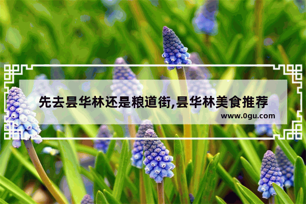 先去昙华林还是粮道街,昙华林美食推荐