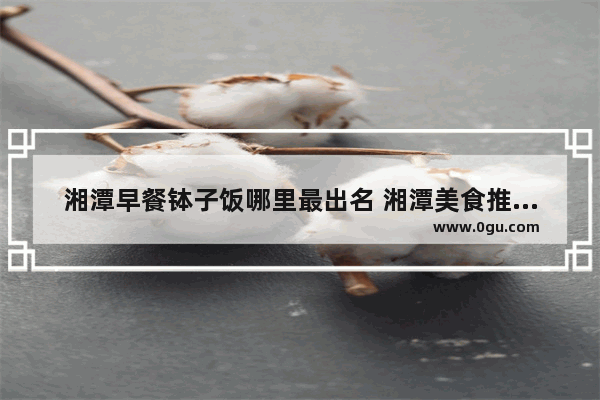湘潭早餐钵子饭哪里最出名 湘潭美食推荐最近的店有哪些店