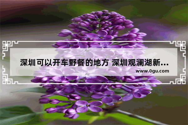 深圳可以开车野餐的地方 深圳观澜湖新城美食推荐哪家好吃