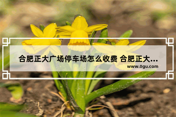 合肥正大广场停车场怎么收费 合肥正大广场的美食推荐在哪吃的