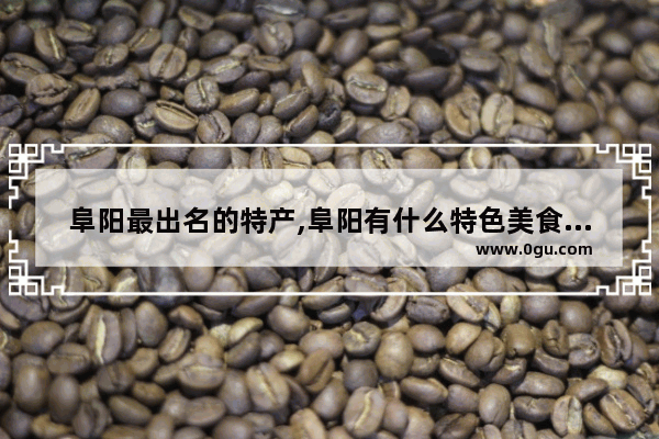 阜阳最出名的特产,阜阳有什么特色美食推荐的地方