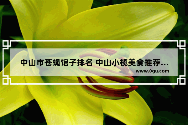 中山市苍蝇馆子排名 中山小榄美食推荐店铺有哪些品牌好