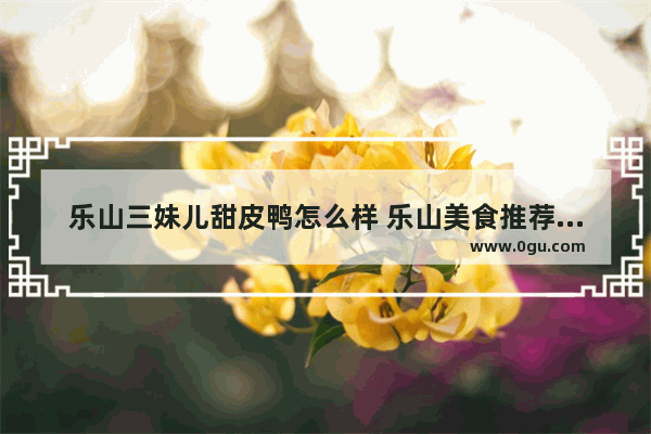 乐山三妹儿甜皮鸭怎么样 乐山美食推荐必吃甜食有哪些品牌的好吃点