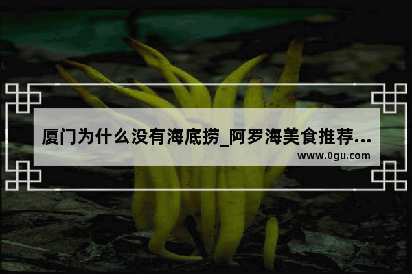 厦门为什么没有海底捞_阿罗海美食推荐店在哪儿有卖