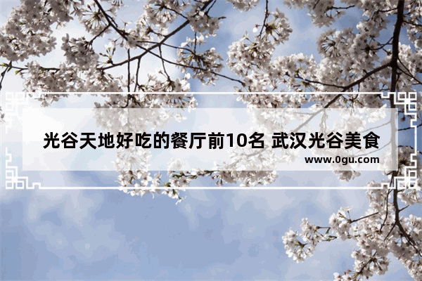 光谷天地好吃的餐厅前10名 武汉光谷美食推荐店在哪里